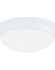 Sea Gull Lighting Nash 2-Light Ceiling Flush Mount without Bulb