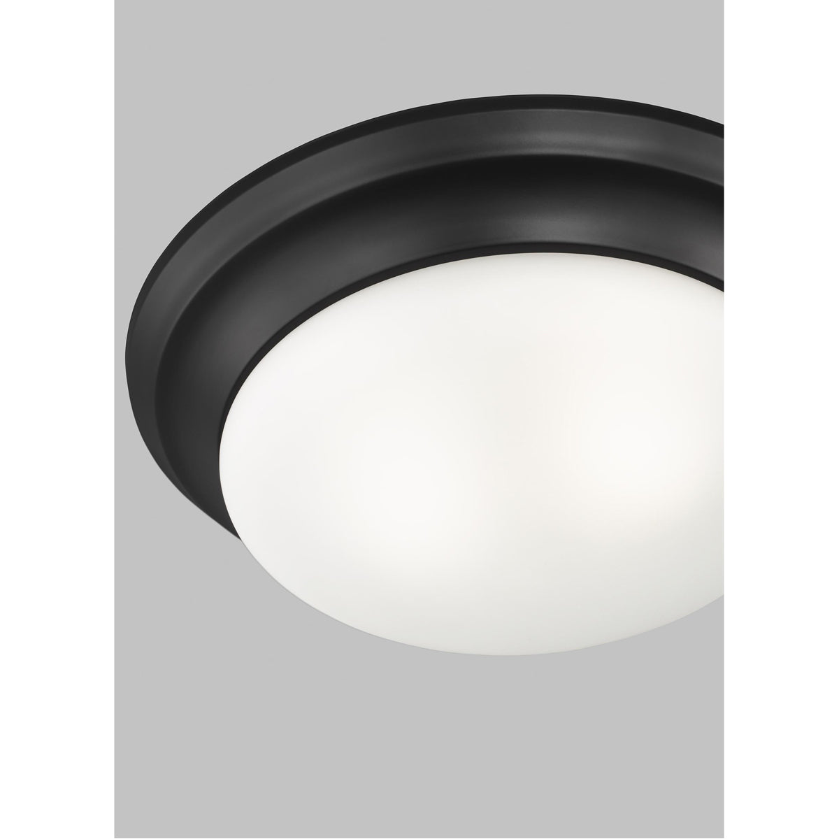 Sea Gull Lighting Nash 2-Light 9W Flush Mount