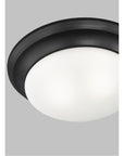 Sea Gull Lighting Nash 2-Light 9W Flush Mount