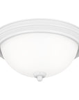 Sea Gull Lighting Geary 2-Light Flush Mount