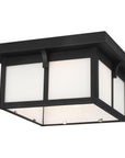 Sea Gull Lighting Tomek 2-Light Outdoor Flush Mount with Bulb