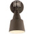 Sea Gull Lighting 1-Light Flood Sconce with Photo and Motion Sensor