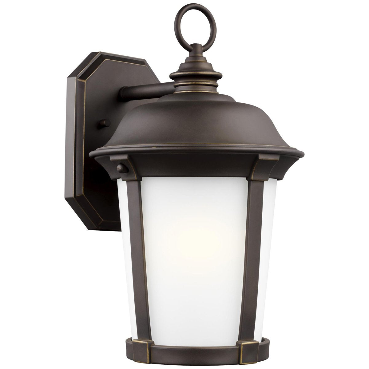 Sea Gull Lighting Calder 1-Light Outdoor Wall Lantern