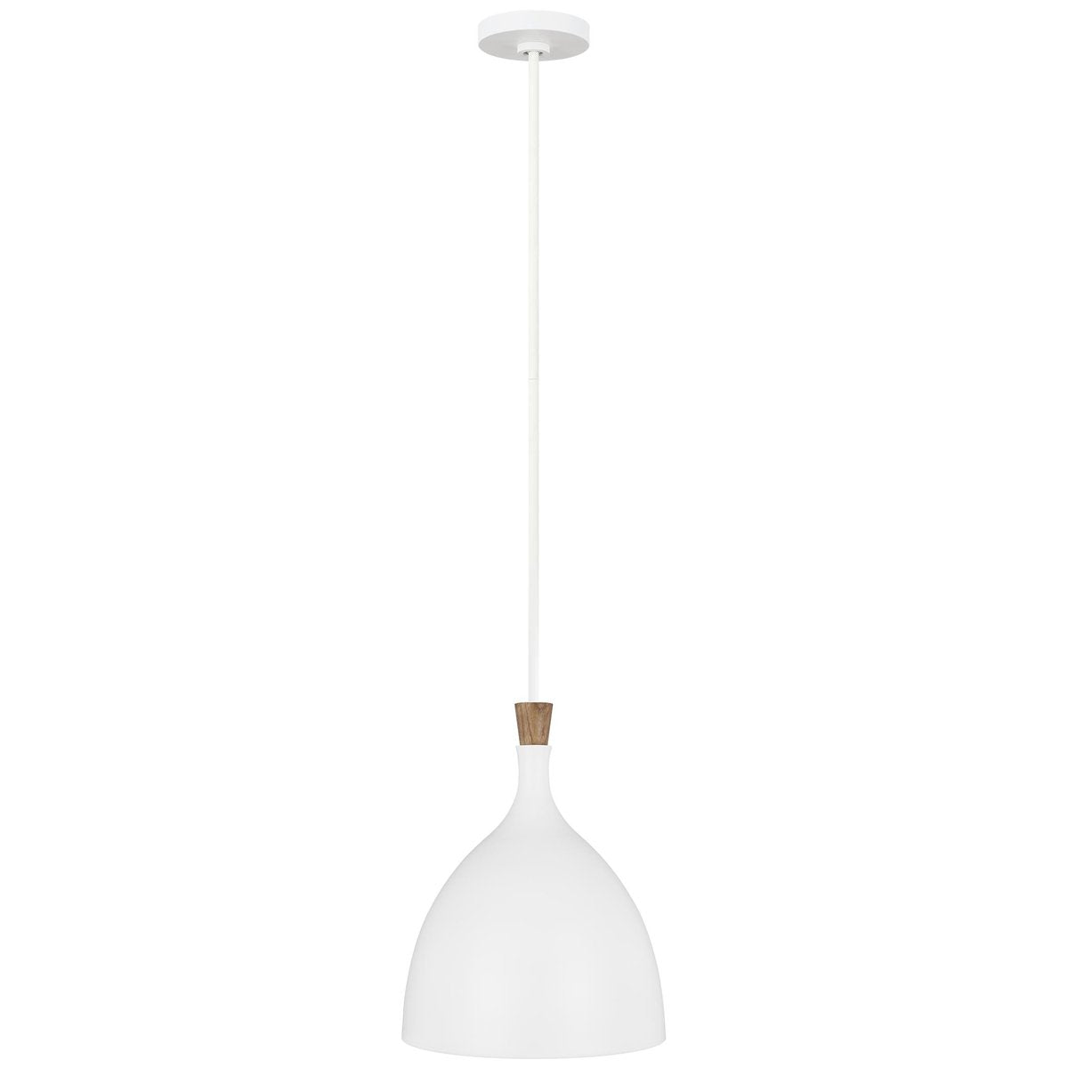 Feiss Darwin 1-Light Medium Pendant