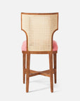 Made Goods Carleen Wingback Cane Counter Stool in Arno Fabric