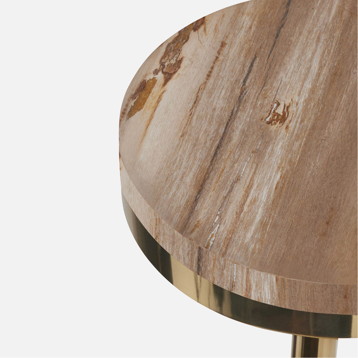 Made Goods Janina Petrified Wood Accent Table