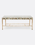 Made Goods Jovan Coffee Table in Silver Mop Shell