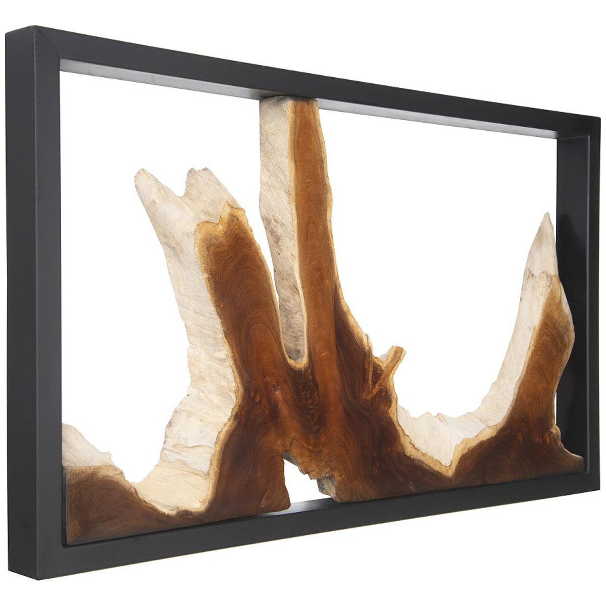 Phillips Collection Framed Root Wall Art