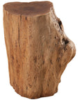 Phillips Collection Longan Wood Stool - Assorted Size and Shapes