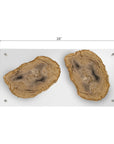 Phillips Collection Floating Petrified Double Slice Wall Art