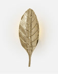 Made Goods D'Angelo Leaf Sconce