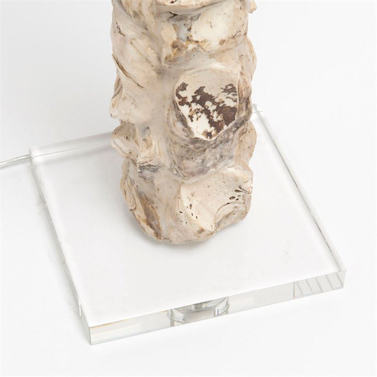 Made Goods Raina Oyster Shell Floor Lamp