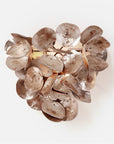 Made Goods Venus Abstract Oyster Shell Sconce