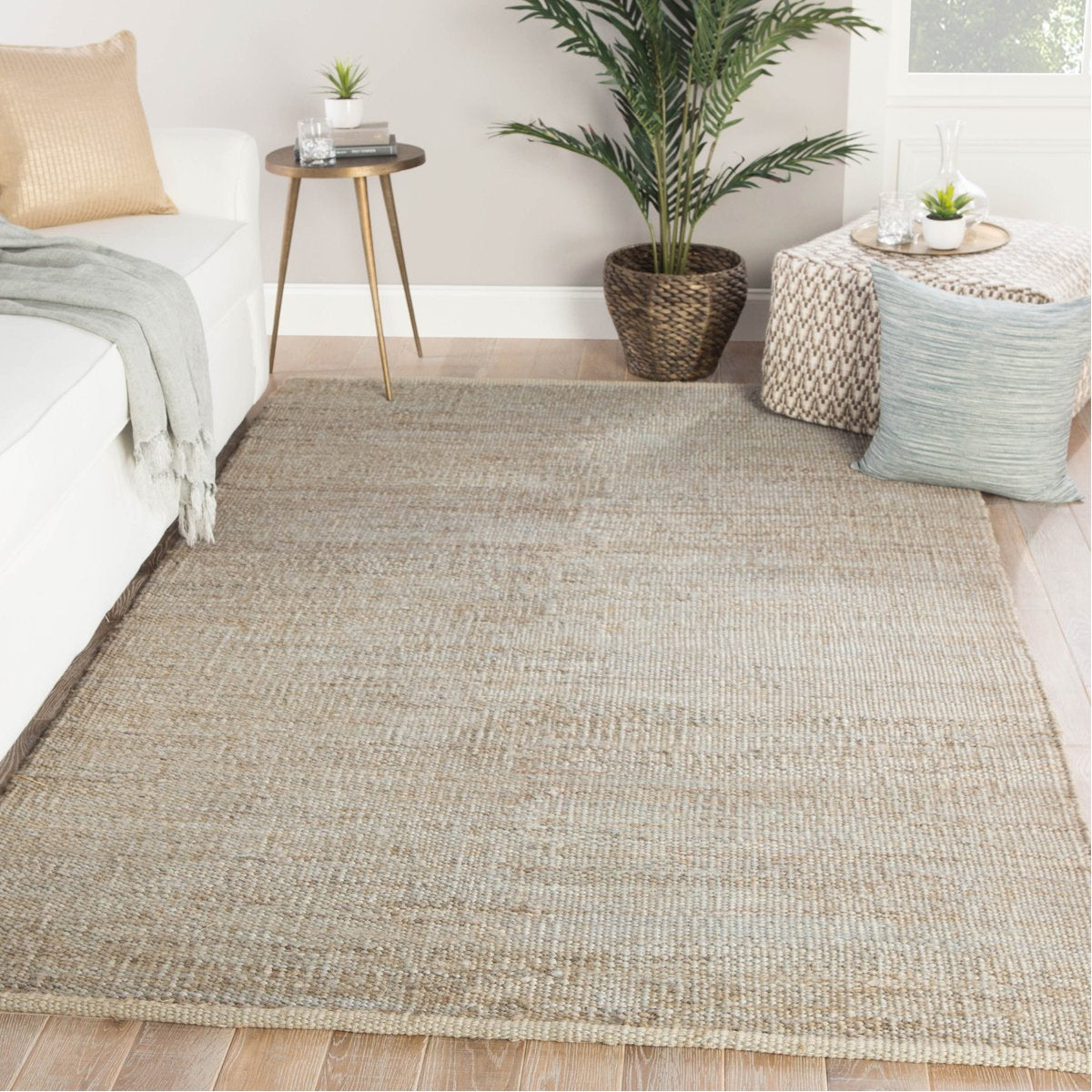 Jaipur Naturals Monaco Anthro Solid Tan NLM06 Rug