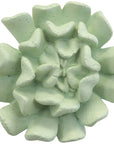 Phillips Collection Topsy Turvy Succulent Outdoor Wall Art