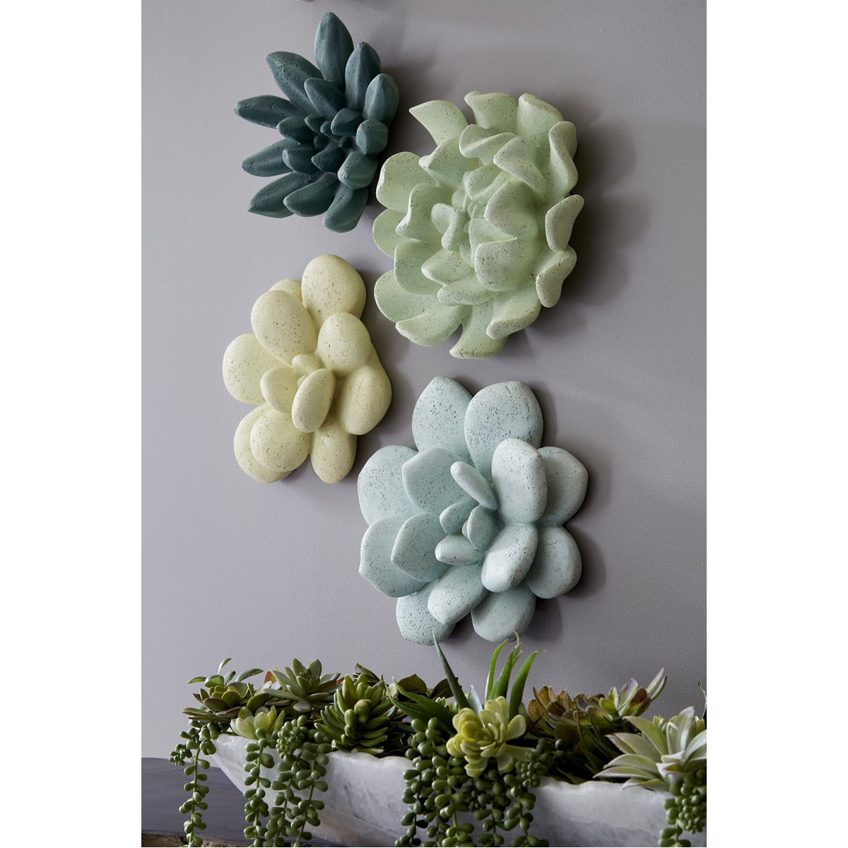 Phillips Collection Oviferum Succulent Outdoor Wall Art