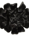 Phillips Collection Topsy Turvy Smooth Black Succulent Wall Art