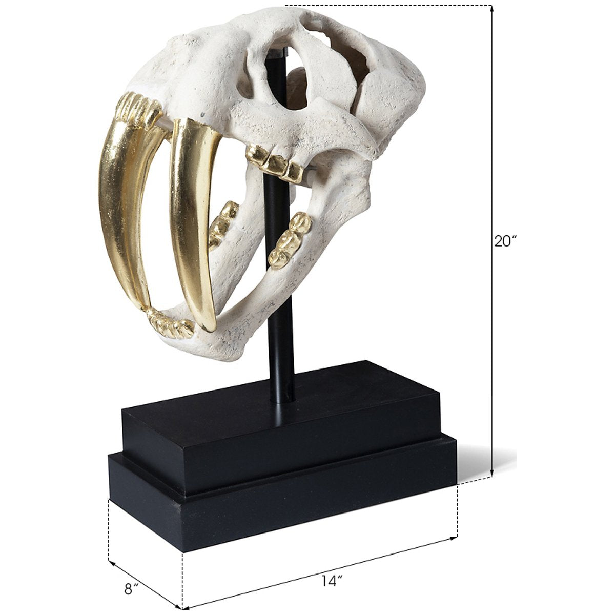 Phillips Collection Saber Tooth Tiger Skull Sculpture, Roman Stone