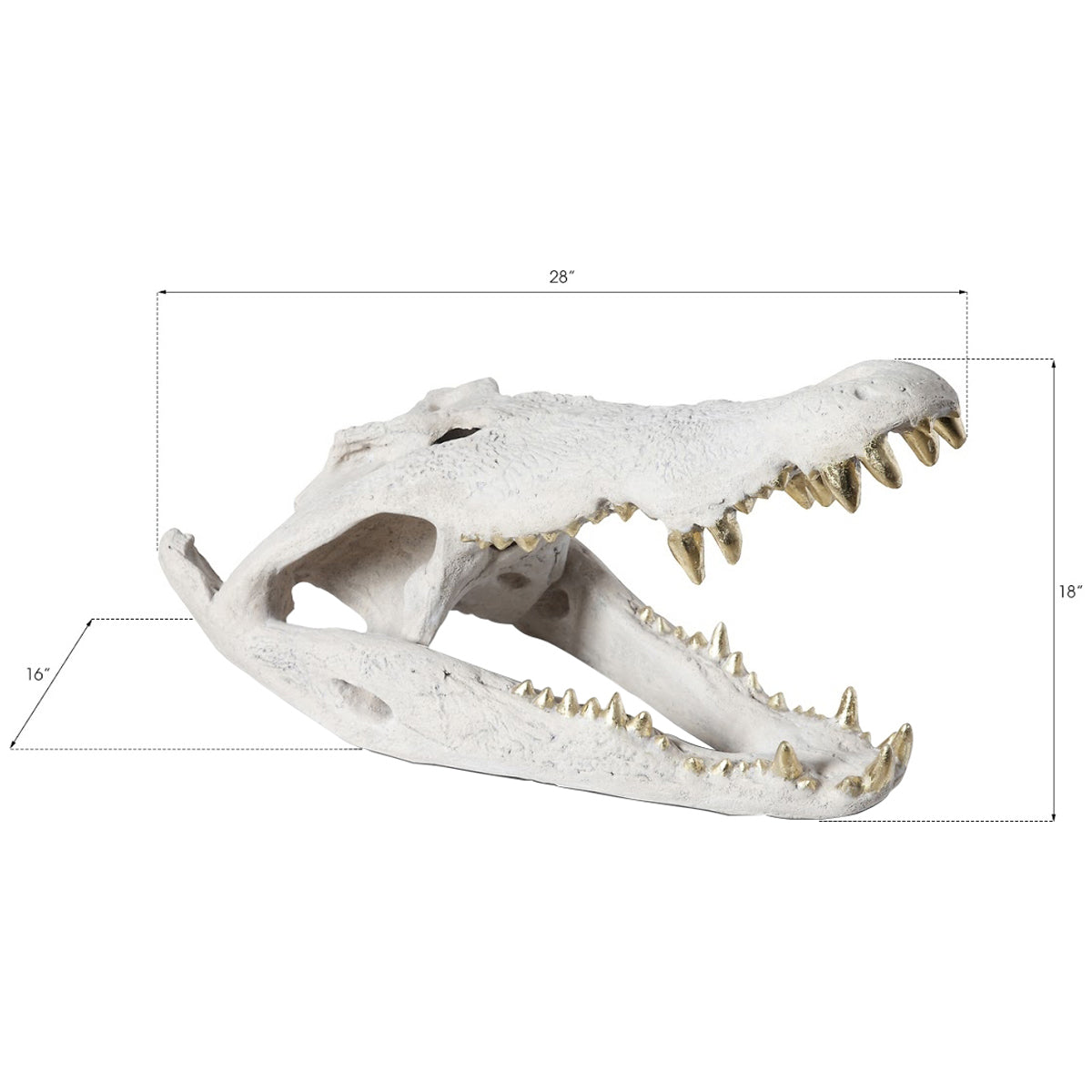 Phillips Collection Crocodile Skull Sculpture