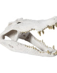 Phillips Collection Crocodile Skull Sculpture