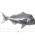 Phillips Collection Australian Snapper Fish Wall Sculpture