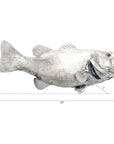 Phillips Collection Large Mouth Bass Fish Wall Sculpture