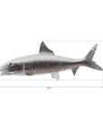 Phillips Collection Bonefish Wall Sculpture