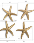 Phillips Collection Starfish Wall Decor, Set of 4