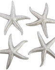 Phillips Collection Starfish Sculpture, Set of 4