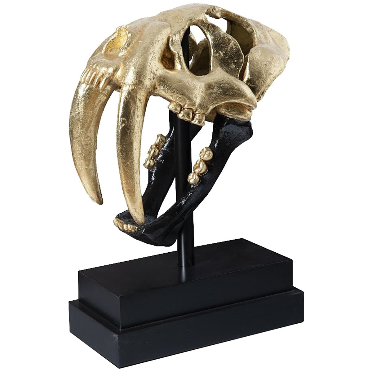 Phillips Collection Saber Tooth Tiger Skull Sculpture