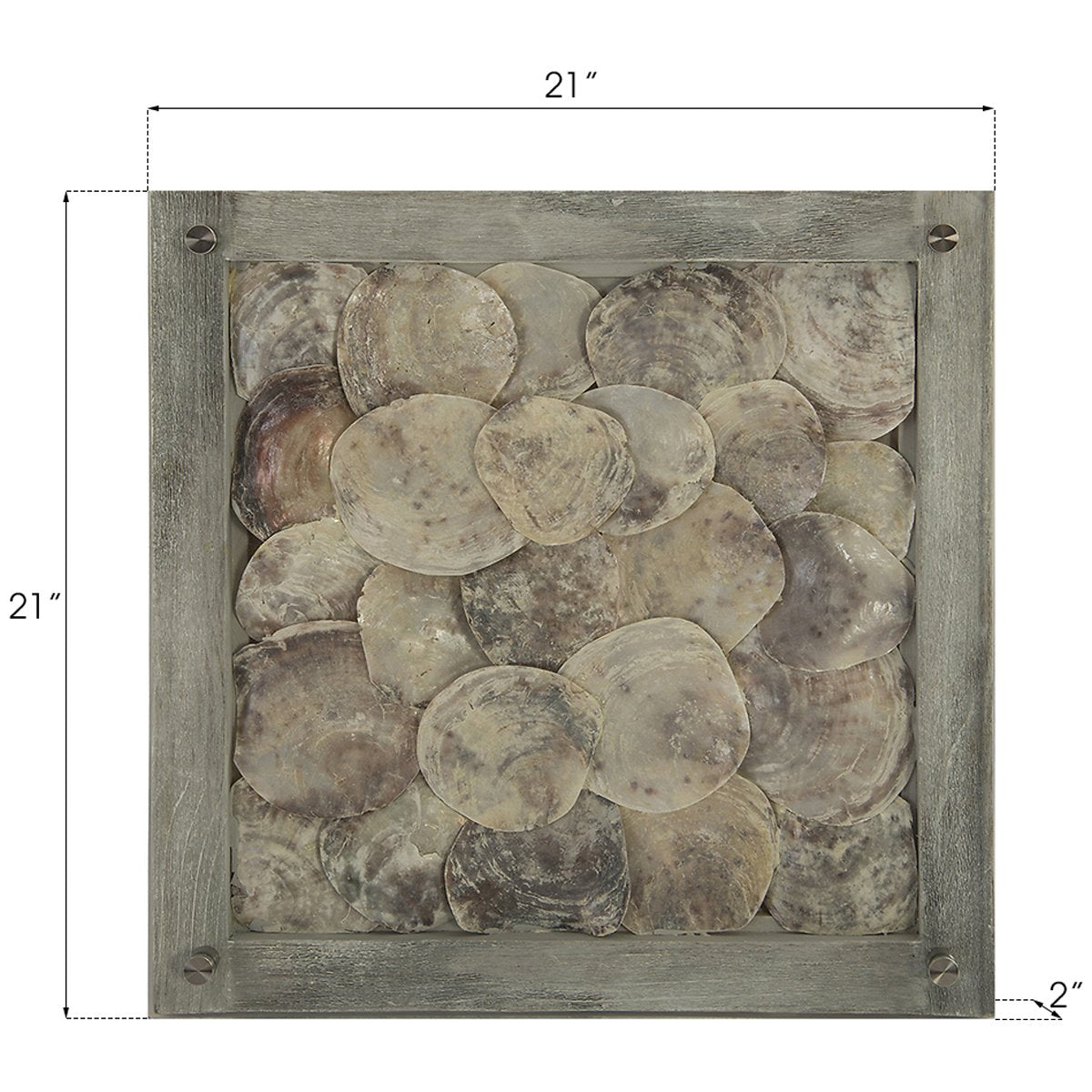 Phillips Collection Shell Wall Tile