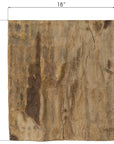 Phillips Collection Square Cast Petrified Wood Wall Tile