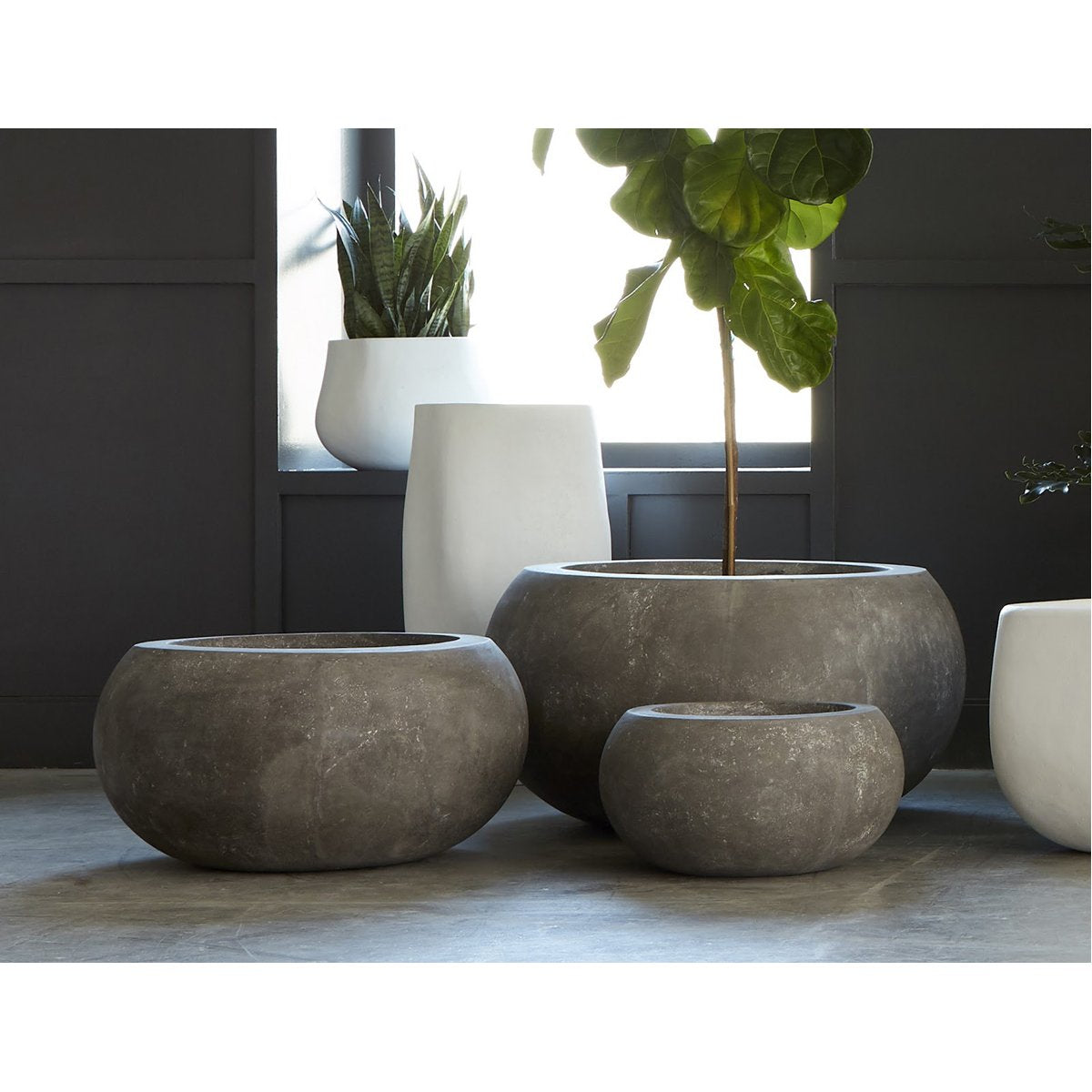 Phillips Collection Ava Planter