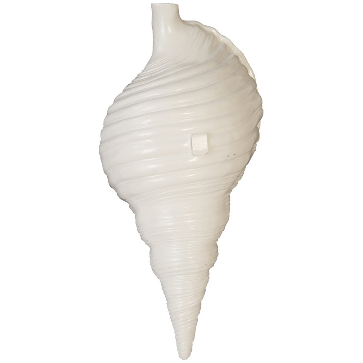 Phillips Collection Triton Shell Wall Art