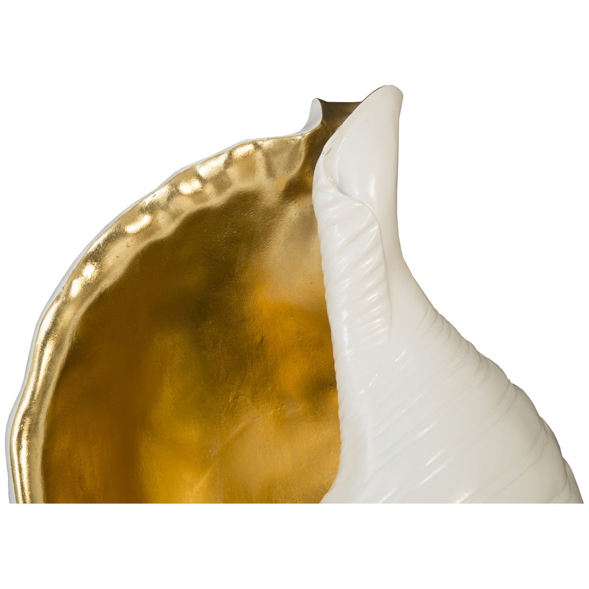 Phillips Collection Triton Shell Wall Art