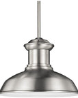 Sea Gull Lighting Fredricksburg 1-Light Outdoor Pendant