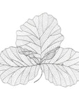 Phillips Collection Tri Leaf Wall Art