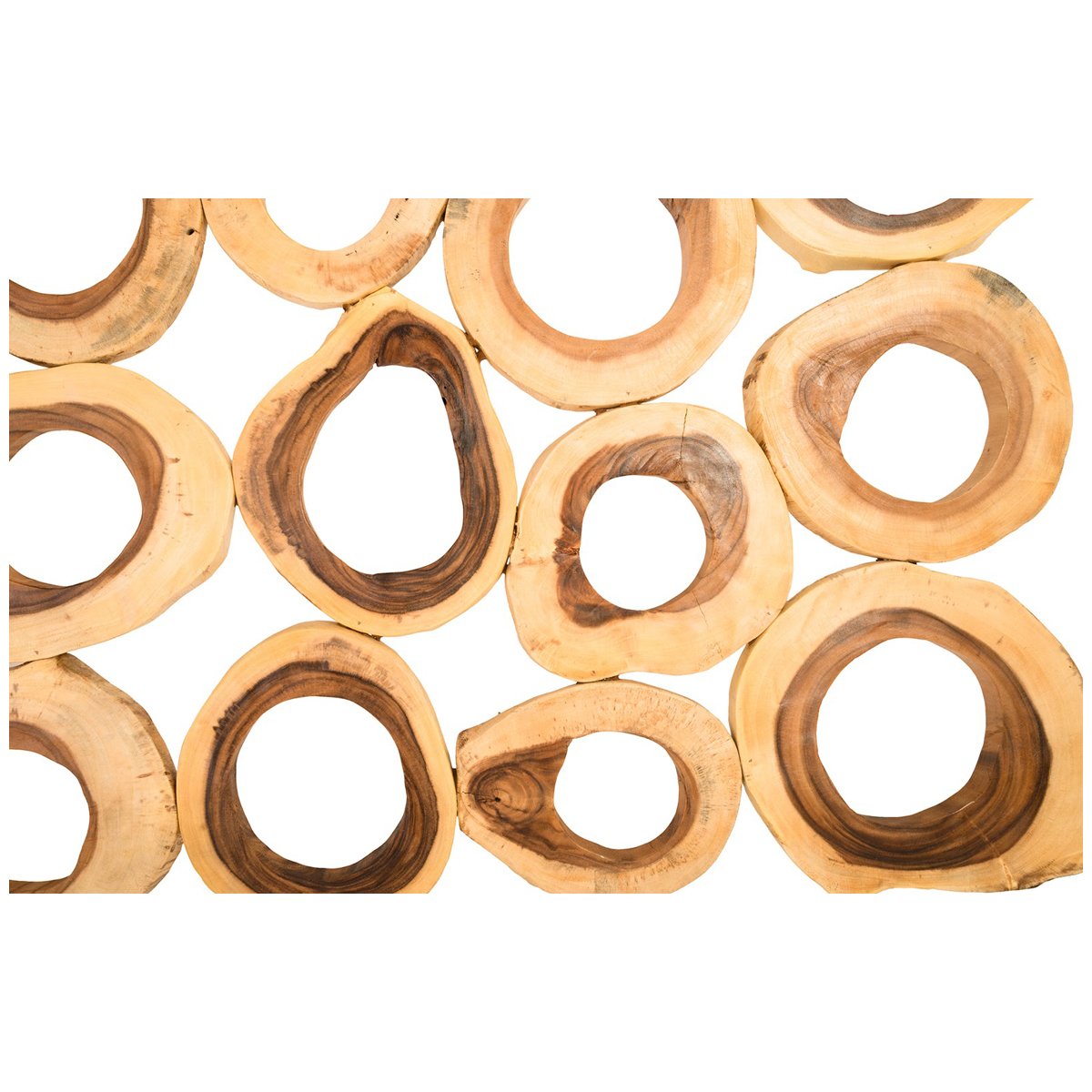 Phillips Collection Chuleta Rings Rectangular Wall Art