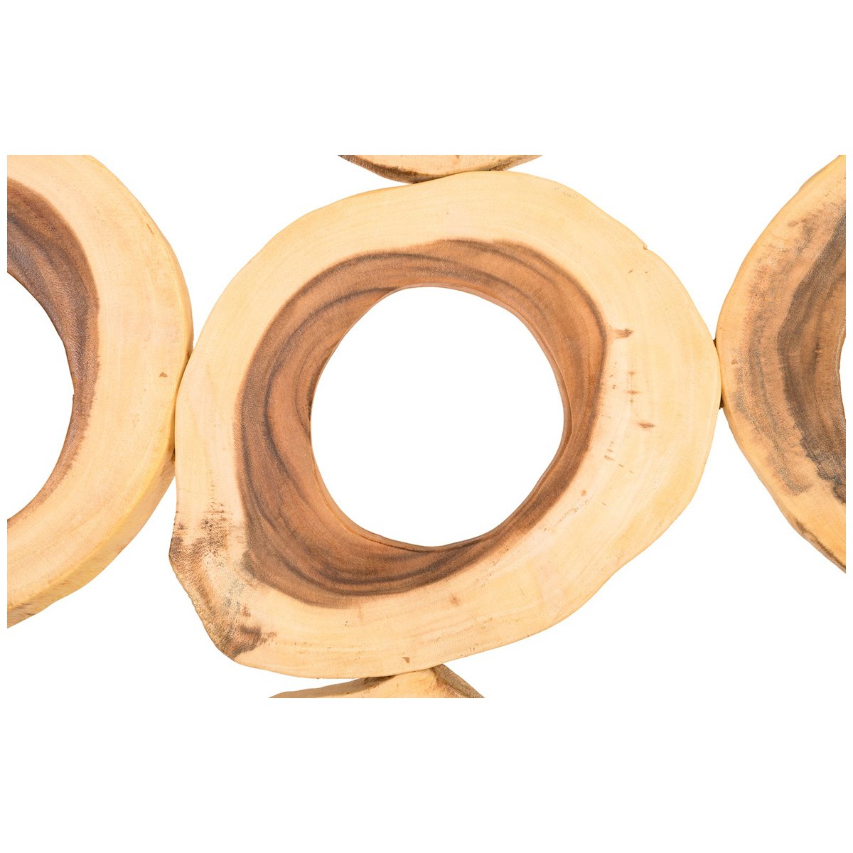 Phillips Collection Chuleta Rings Rectangular Wall Art