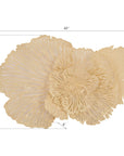 Phillips Collection Flower Medium Wall Art