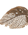 Phillips Collection Birch Leaf Wall Art