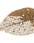 Phillips Collection Birch Leaf Wall Art