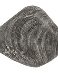 Phillips Collection River Stone Wood Wall Tile, Medium