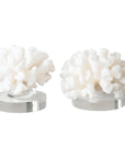 Uttermost Hard Coral Sculptures, 2-Piece Set