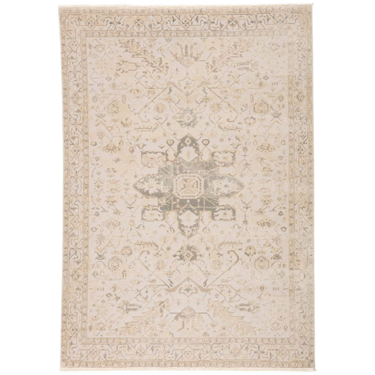 Jaipur Vienne Lucien Medallion Border Cream Light Gray VNE06 Rug