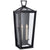 Visual Comfort Darlana Small Tall 3/4 Wall Lantern